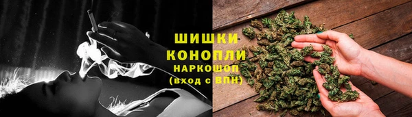 прущие грибы Алзамай