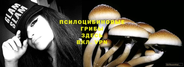 мяу мяу мука Алексеевка