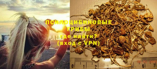 прущие грибы Алзамай