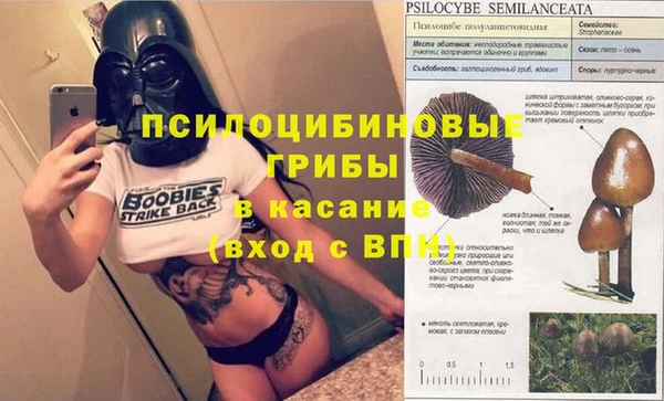 мяу мяу мука Алексеевка