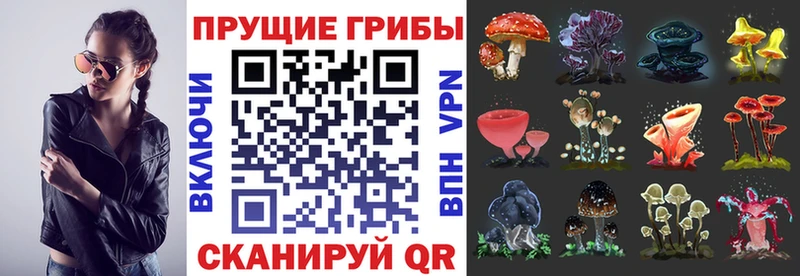 Псилоцибиновые грибы мухоморы  Лермонтов 